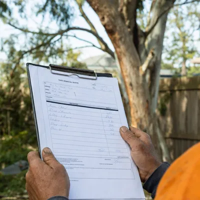 Reading a written tree removal quote on site in Newcastle