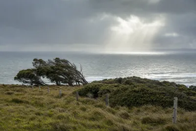 Coastal and storm exposure, Newcastle