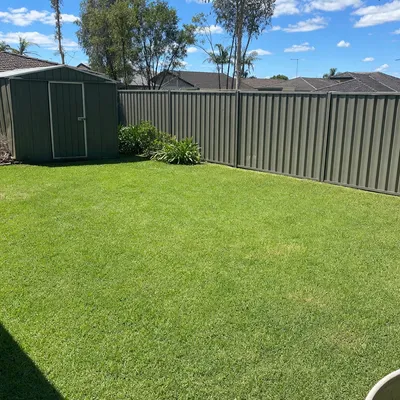 After: East coast low limb across the driveway, Newcastle