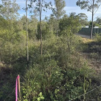 Before: Block clear ahead of a DA submission, Newcastle