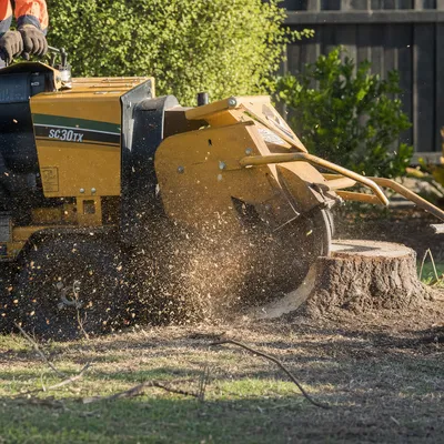 Stump Grinding in Newcastle. Stump grinding below grade so you can replant, returf or repave. Small access machines for tight backyards.