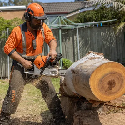 Tree Removal in Newcastle. Safe sectional dismantling of dead, damaged or unwanted trees of any size, including hazardous trees close to homes and powerlines.