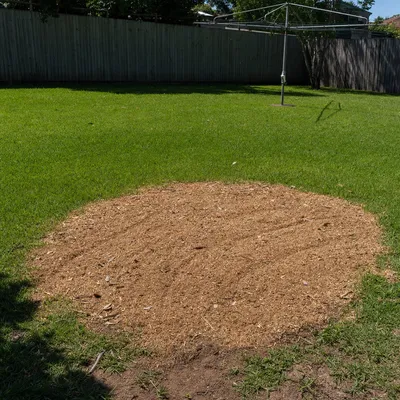 Chips and mulch on site, Newcastle