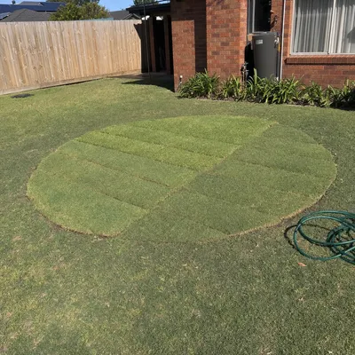Stump ground 150–300mm below grade, Newcastle